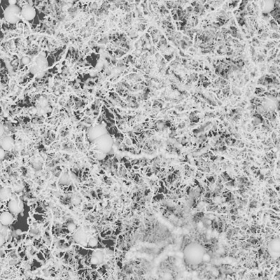 2-2 Nanofiber Iron