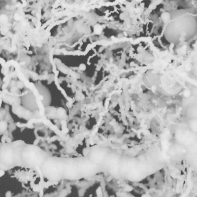 13-2 Nano Iron Fiber